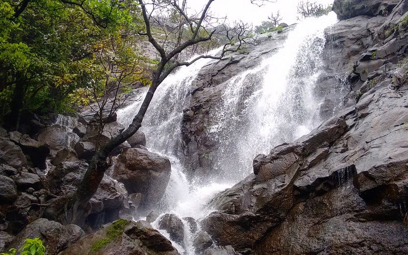 tent camping at rajmachi